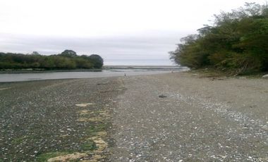 Parcela G2. Isla Sur Chiloe
