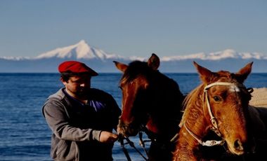 Parcela Sergio 5. Isla Sur Chiloe
