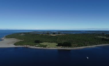 Parcela Sergio 5. Isla Sur Chiloe