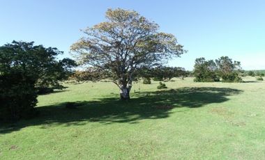 Parcela Sergio 5. Isla Sur Chiloe