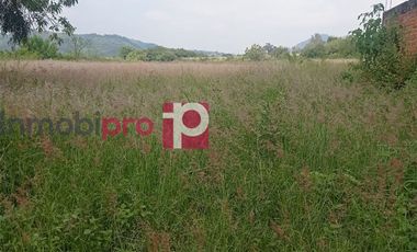 TERRENO EN VENTA EN YECAPÍXTLA MORELOS
