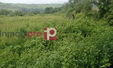 TERRENO EN VENTA EN YECAPÍXTLA MORELOS