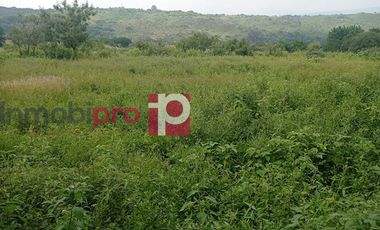 TERRENO EN VENTA EN YECAPÍXTLA MORELOS