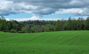 Casa en venta en FRUTILLAR