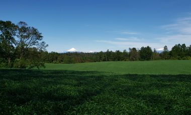 Casa en venta en FRUTILLAR