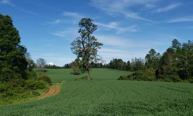Casa en venta en FRUTILLAR