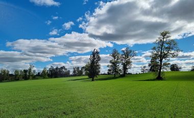 Casa en venta en FRUTILLAR