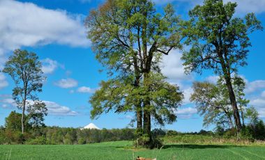 Casa en venta en FRUTILLAR