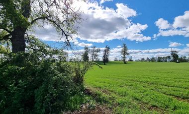 Casa en venta en FRUTILLAR