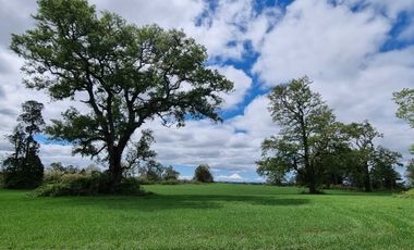 Casa en venta en FRUTILLAR