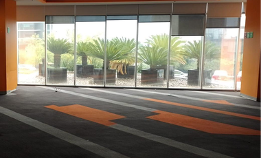 Oficina acondicionada en renta PB de 371m2 en zona Valle Oriente  San Pedro