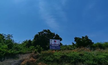Hectáreas en Manzanillo
