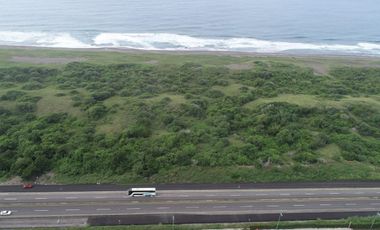 Hectáreas en Manzanillo