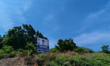 Hectáreas en Manzanillo