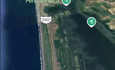 Hectáreas en Manzanillo