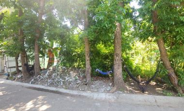 Residential Lot for sale in Narra Street, Town & Country North, Abangan Norte, Marilao, Bulacan
