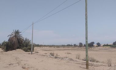 Terreno en Venta – 22,250 m² – Panamericana Sur Km 234 – Pisco, Ica – $800,000