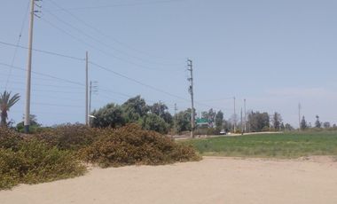 Terreno en Venta – 22,250 m² – Panamericana Sur Km 234 – Pisco, Ica – $800,000