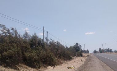 Terreno en Venta – 22,250 m² – Panamericana Sur Km 234 – Pisco, Ica – $800,000