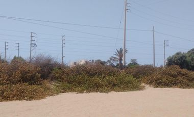 Terreno en Venta – 22,250 m² – Panamericana Sur Km 234 – Pisco, Ica – $800,000
