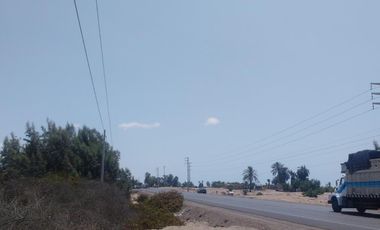 Terreno en Venta – 22,250 m² – Panamericana Sur Km 234 – Pisco, Ica – $800,000