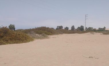 Terreno en Venta – 22,250 m² – Panamericana Sur Km 234 – Pisco, Ica – $800,000