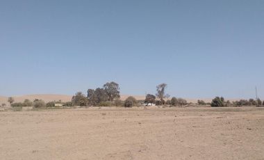Terreno en Venta – 22,250 m² – Panamericana Sur Km 234 – Pisco, Ica – $800,000