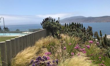 Departamento en Arriendo en Salida Sur Papudo - Punta Pite