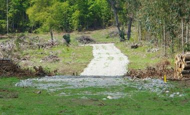 Parcela en Venta en Ñancul