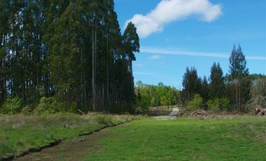 Parcela en Venta en Ñancul
