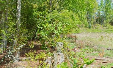 Parcela en Venta en Ñancul
