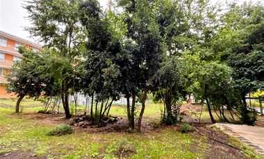 Departamento en Arriendo en Condominio Parque Pucón