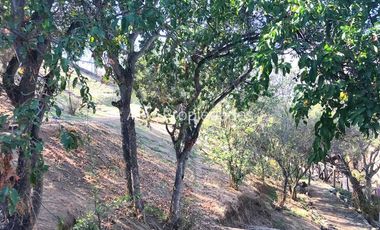 Casa en Arriendo en Cuyuncaví | Casa en Arriendo (3D2B) | Curacaví|Alas Propiedades