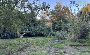 Casa en Venta en Barrio Estación, casa antigua en muy buen estado, maderas nativas y gran jardín.