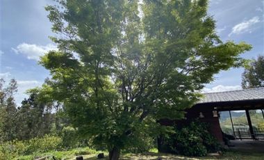 Casa en Arriendo en COD37542 Gran casa en condominio en sector Monteverde con acceso controlado