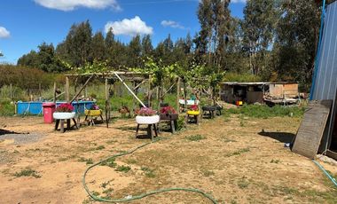 Se Vende Parcela en Santa Cruz, VI Región