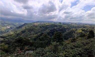 Finca cafetera para la venta en la bella Pereira!!!