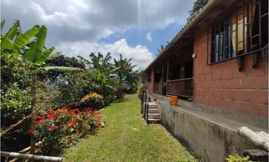 Finca cafetera para la venta en la bella Pereira!!!