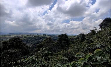 Finca cafetera para la venta en la bella Pereira!!!