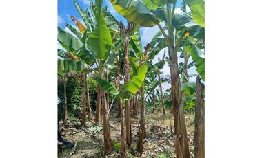 Casa para la venta en arabia, Pereira!!!