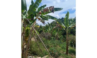 Casa para la venta en arabia, Pereira!!!