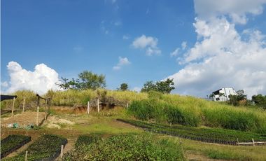 Lote en la Avenida del Sur para la venta, Pereira!!!