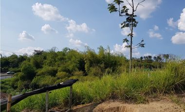 Lote en la Avenida del Sur para la venta, Pereira!!!