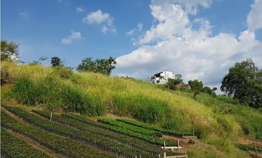 Lote en la Avenida del Sur para la venta, Pereira!!!