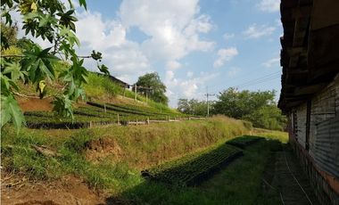 Lote en la Avenida del Sur para la venta, Pereira!!!