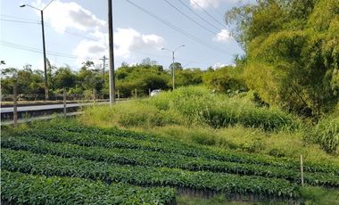 Lote en la Avenida del Sur para la venta, Pereira!!!