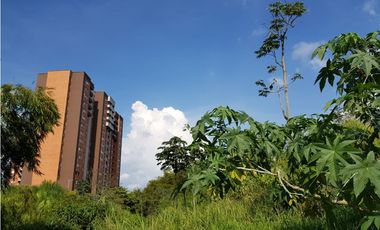 Lote en la Avenida del Sur para la venta, Pereira!!!