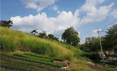 Lote en la Avenida del Sur para la venta, Pereira!!!