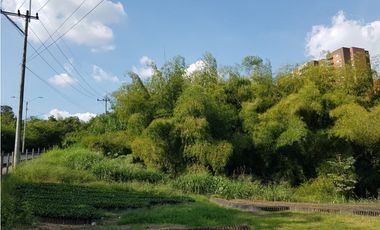Lote en la Avenida del Sur para la venta, Pereira!!!