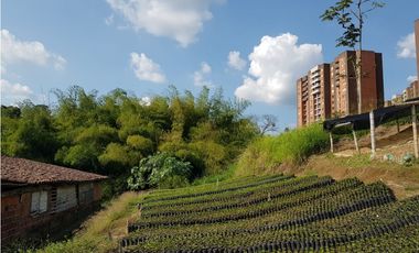 Lote en la Avenida del Sur para la venta, Pereira!!!